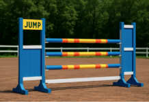 Understanding the Role of Gates in Equine Jump Courses